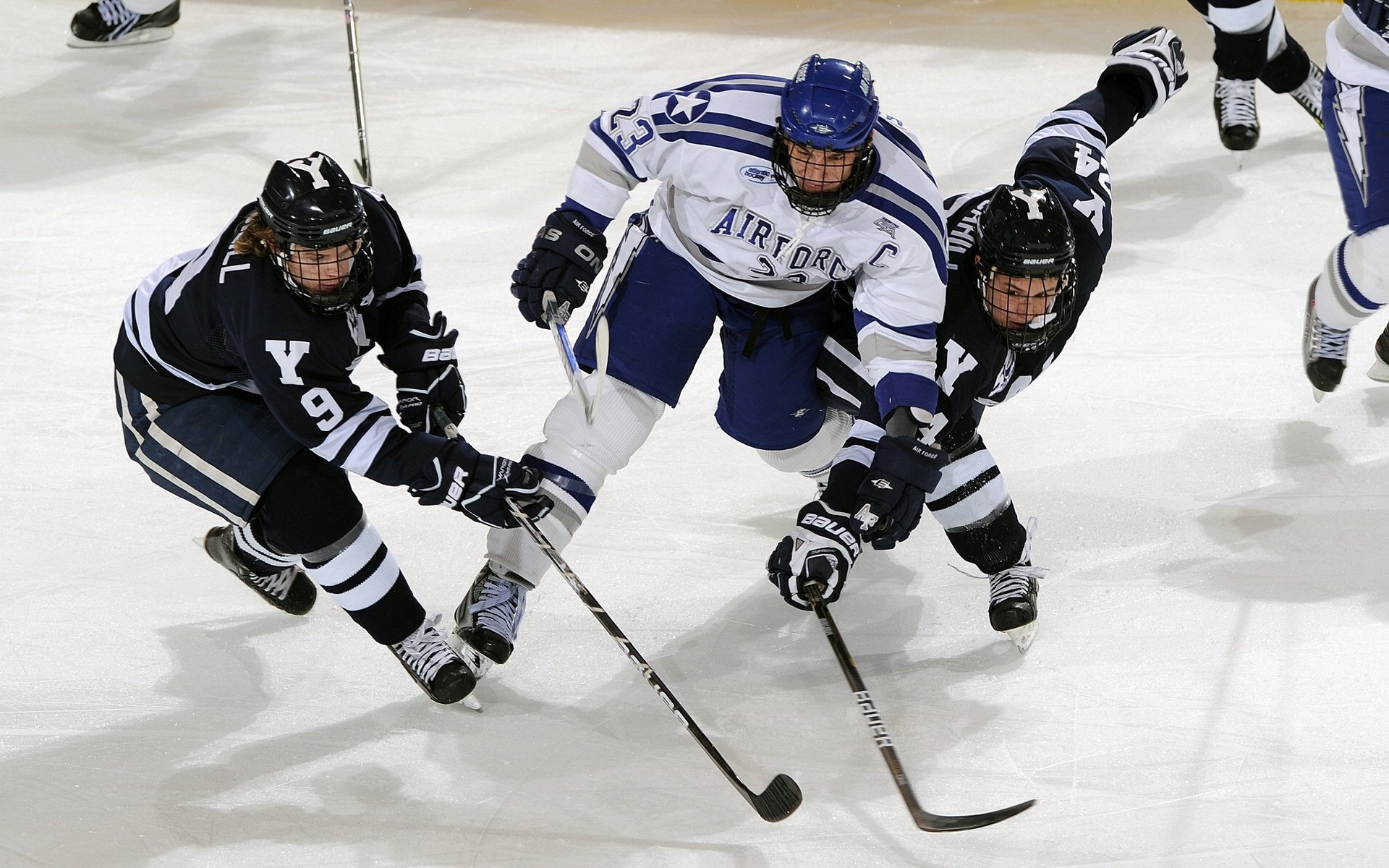 城市与赛事组委会合作推出赛事文化周丰富市民生活,城市赛规则
