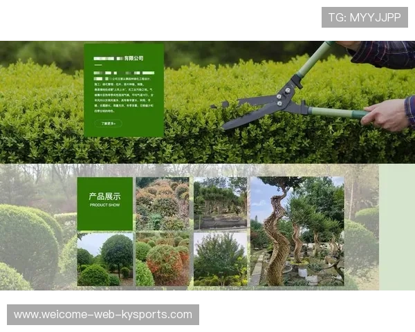 篮球赛事在中国数字营销课程中的教学案例，篮球的营销策略