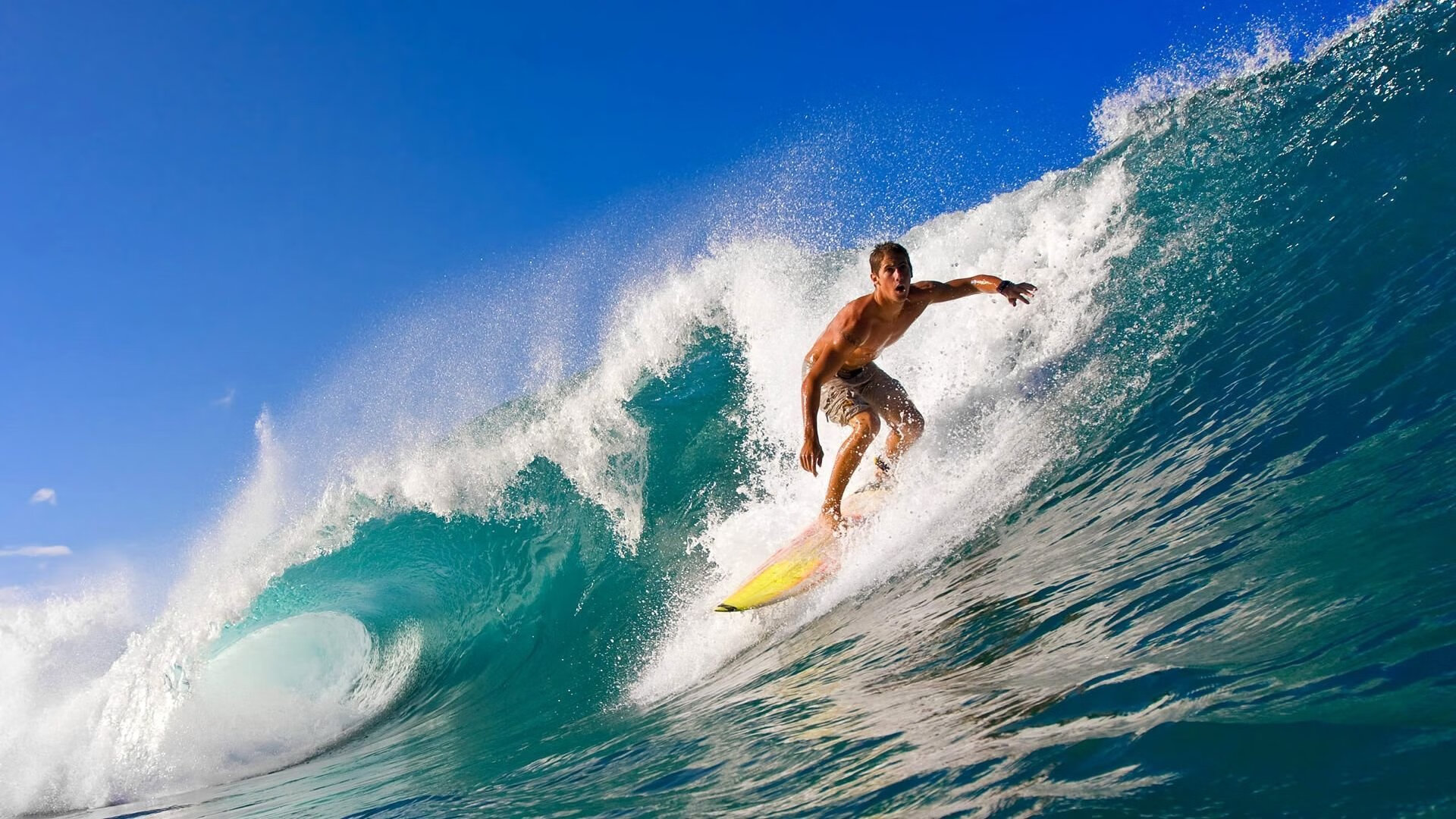 国际赛事在推动本地体育产业发展方面贡献显著，国际体育赛事对举办地的影响